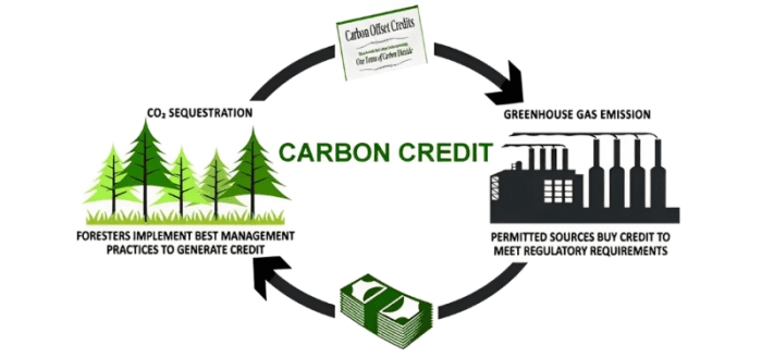 bán tín chỉ carbon