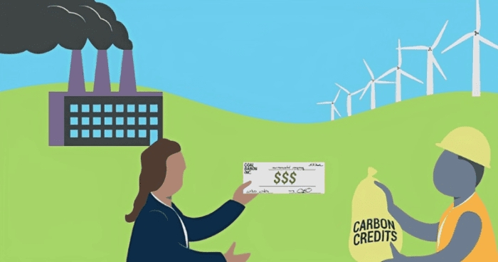 dự án tín chỉ carbon