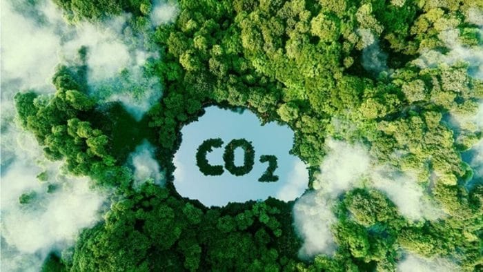 tín chỉ carbon là gì